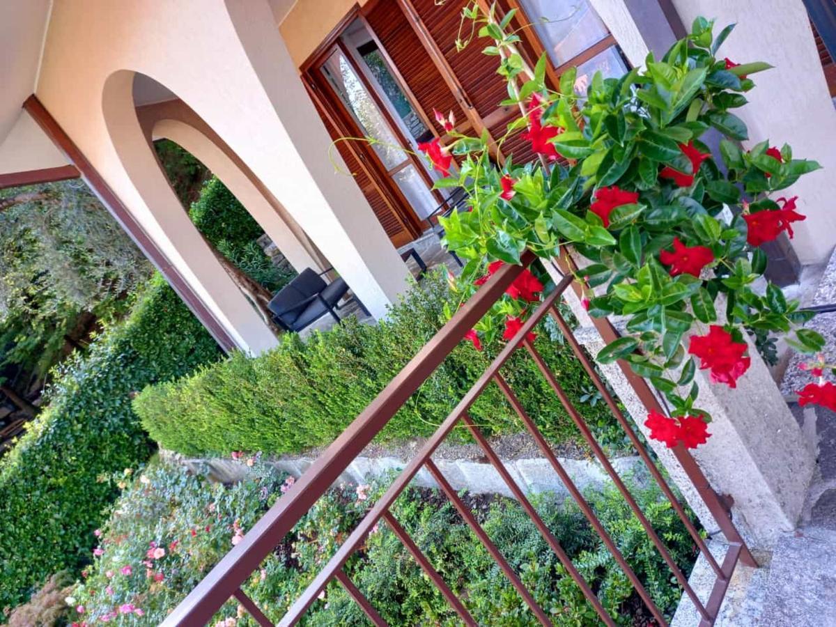 Le Grigne Guesthouse - The Garden Oliveto Lario Exteriör bild